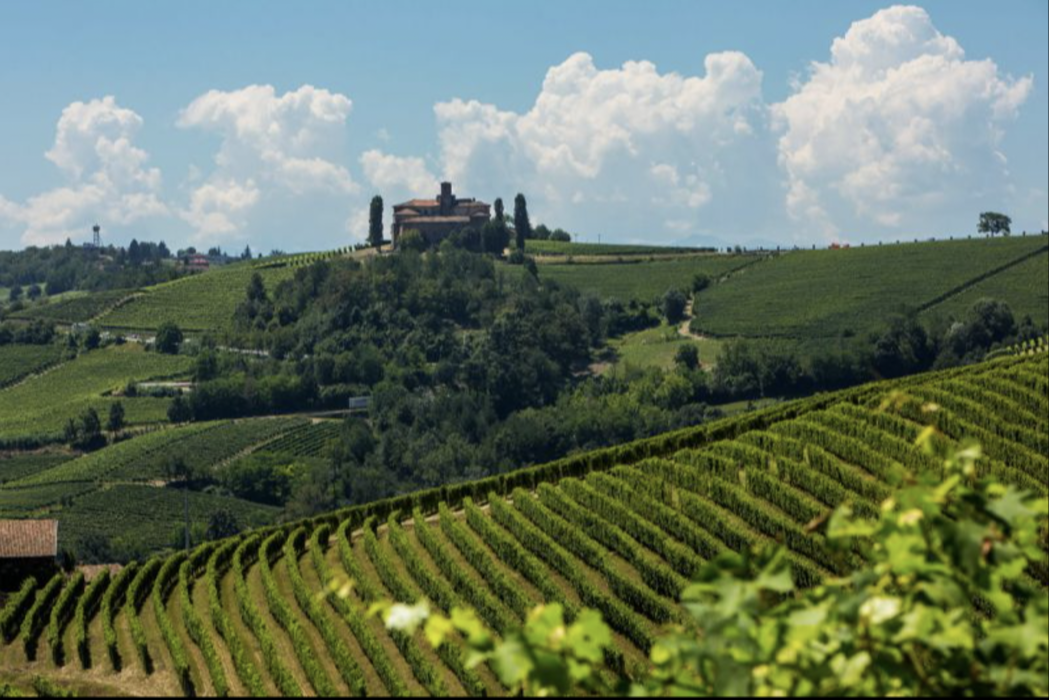 AZIENDA AGRICOLA PODERI MARCARINI